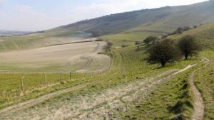 Wilmington in the South Downs National Park